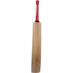 Three Wickets RG-Warner Kashmir Willow Cricket Bat (SH)